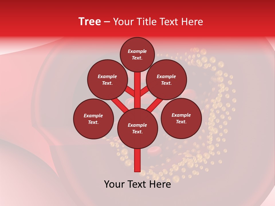 Structure Sliced Erythrocyte PowerPoint Template