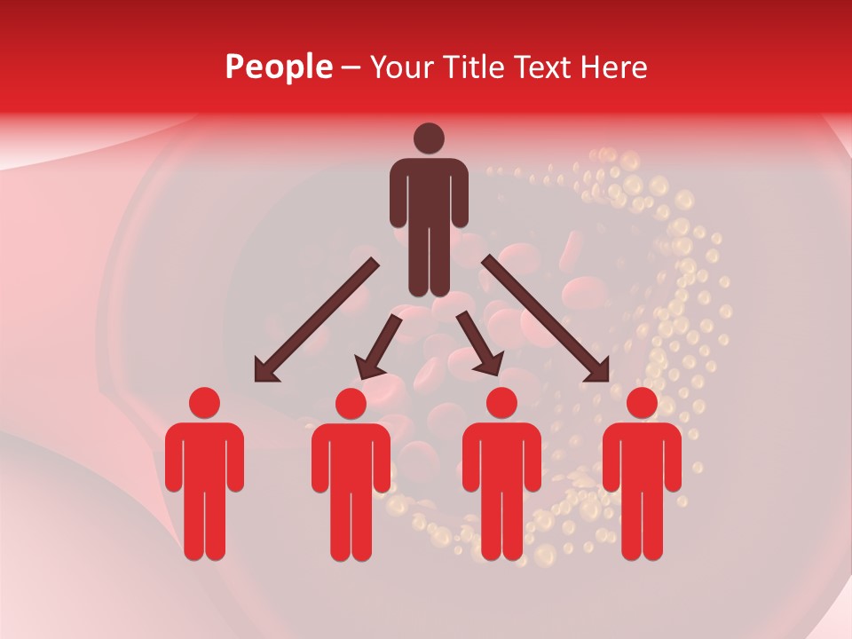 Structure Sliced Erythrocyte PowerPoint Template