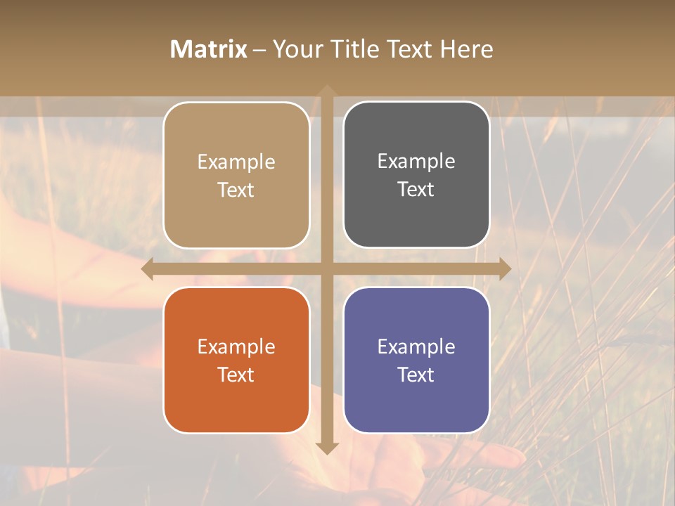 Grass Concentration Serene PowerPoint Template