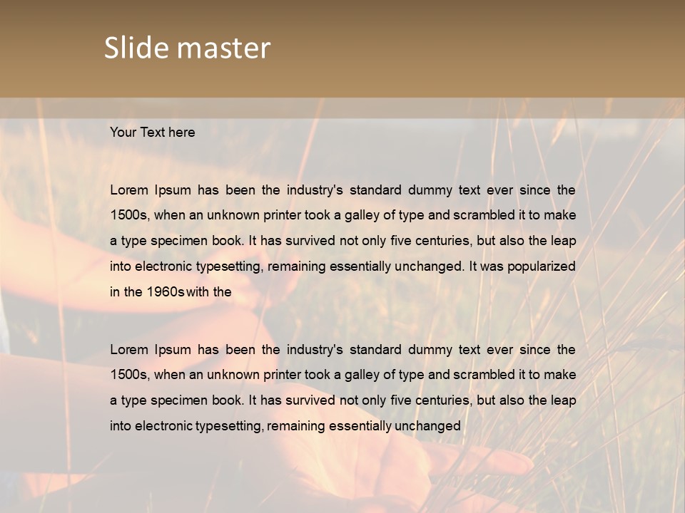 Grass Concentration Serene PowerPoint Template