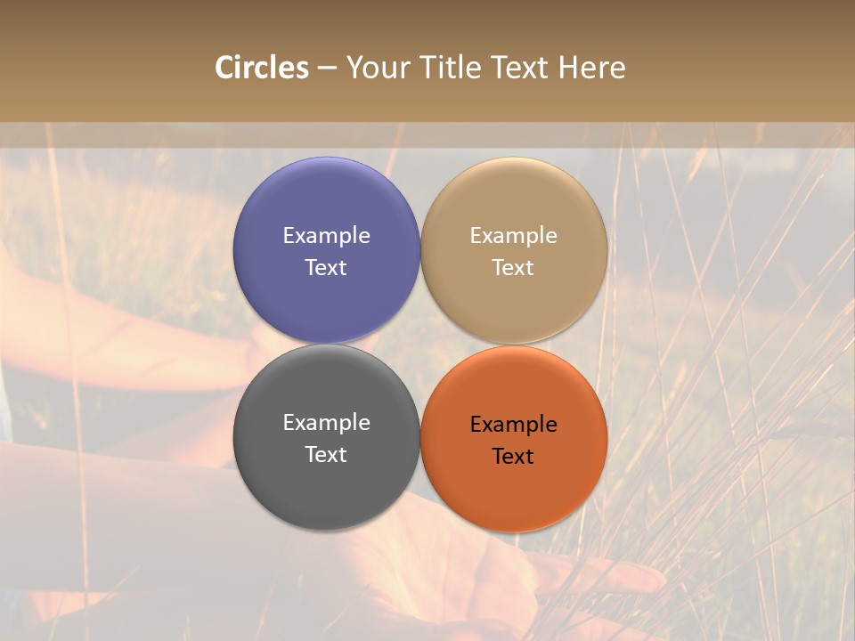Grass Concentration Serene PowerPoint Template