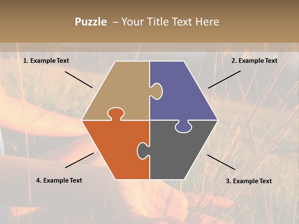 Grass Concentration Serene PowerPoint Template