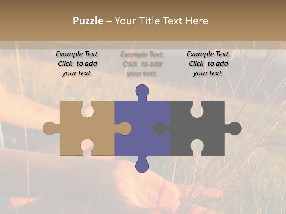 Grass Concentration Serene PowerPoint Template