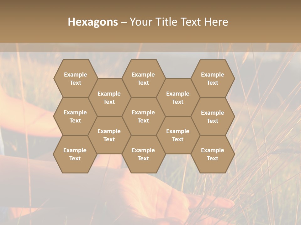 Grass Concentration Serene PowerPoint Template