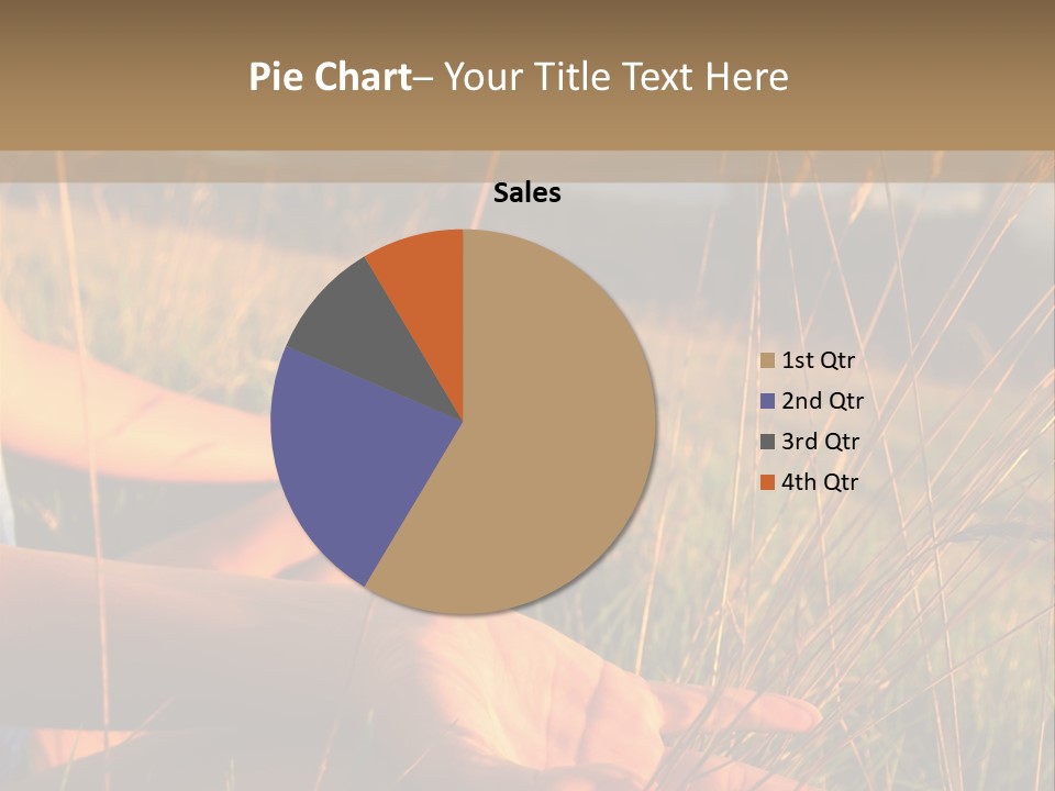 Grass Concentration Serene PowerPoint Template