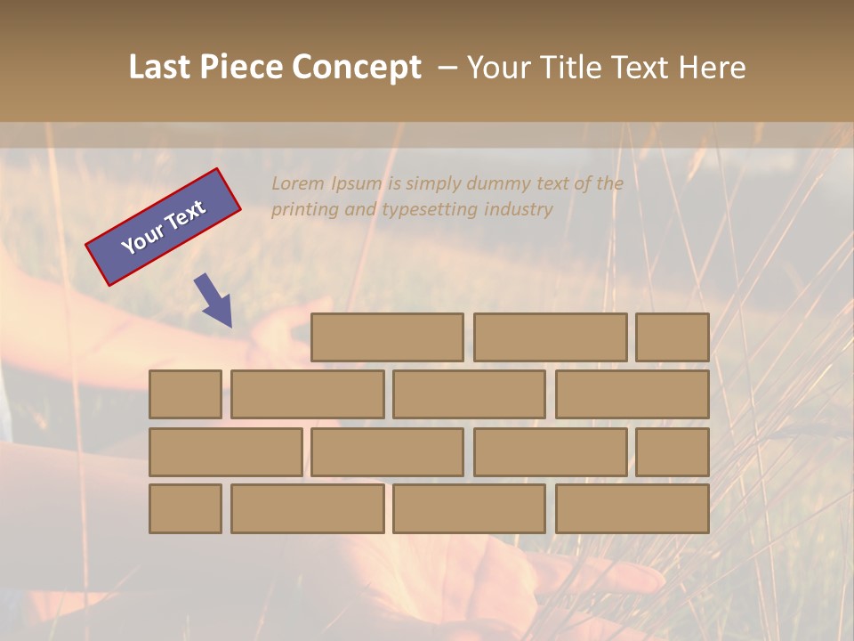 Grass Concentration Serene PowerPoint Template
