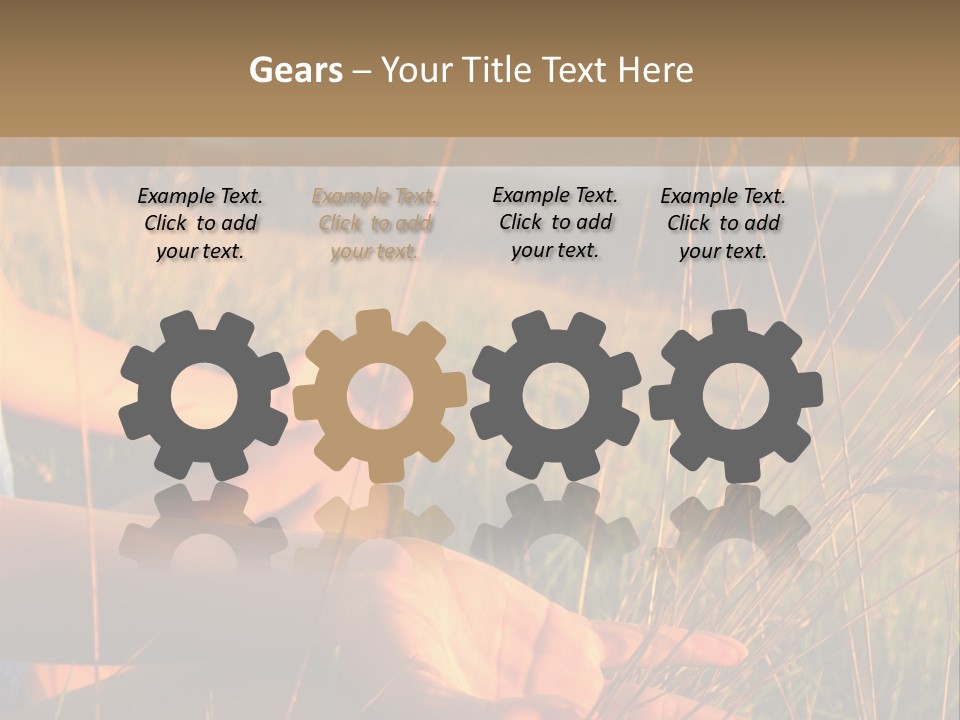 Grass Concentration Serene PowerPoint Template