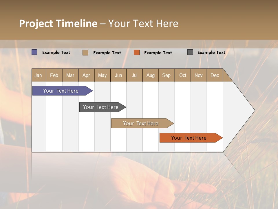 Grass Concentration Serene PowerPoint Template