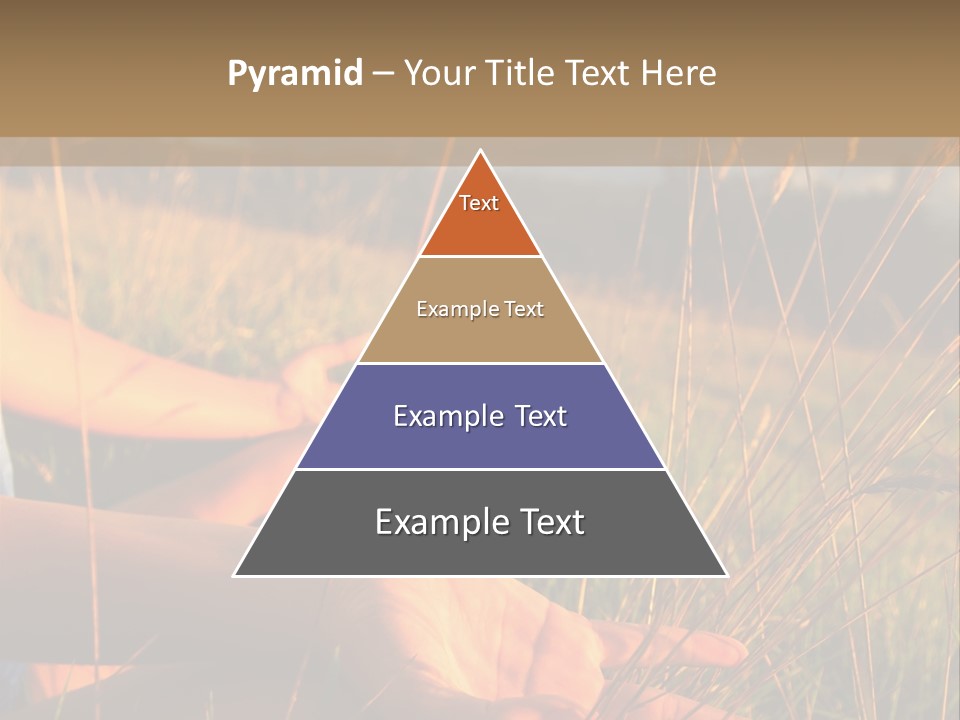 Grass Concentration Serene PowerPoint Template