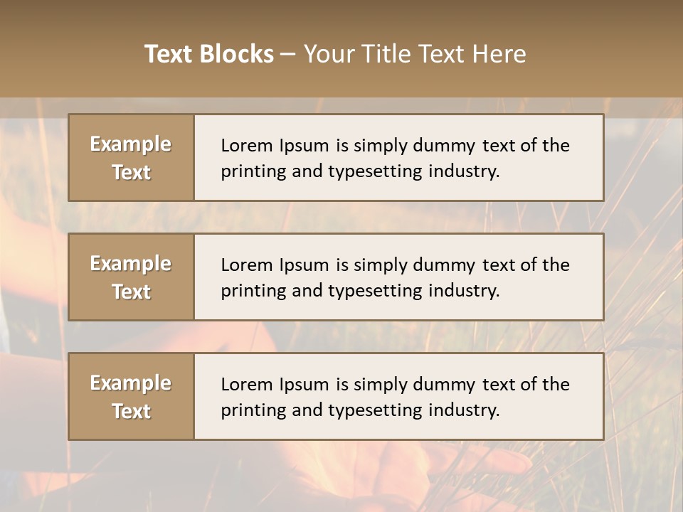 Grass Concentration Serene PowerPoint Template