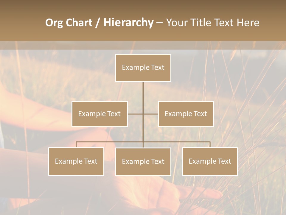 Grass Concentration Serene PowerPoint Template