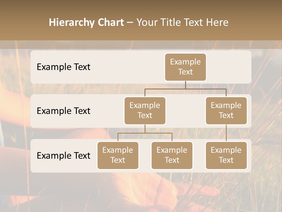 Grass Concentration Serene PowerPoint Template