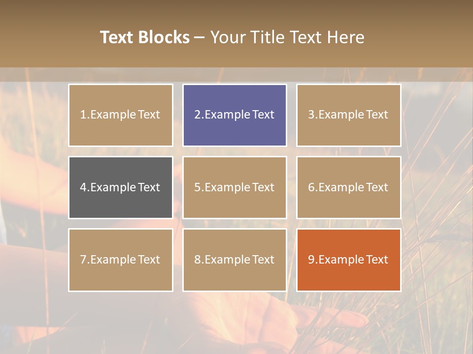 Grass Concentration Serene PowerPoint Template