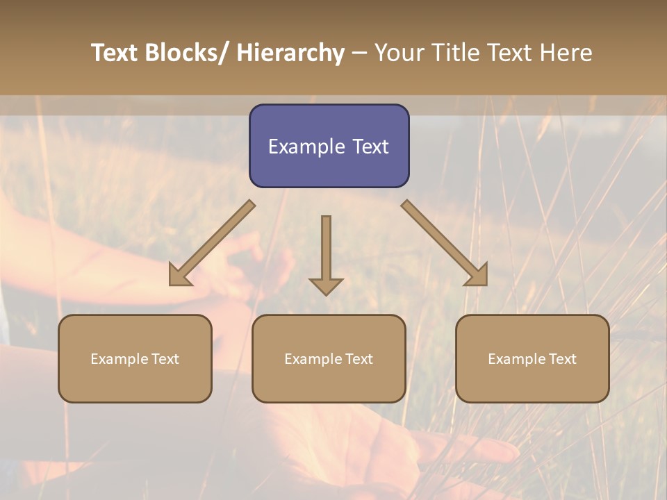 Grass Concentration Serene PowerPoint Template
