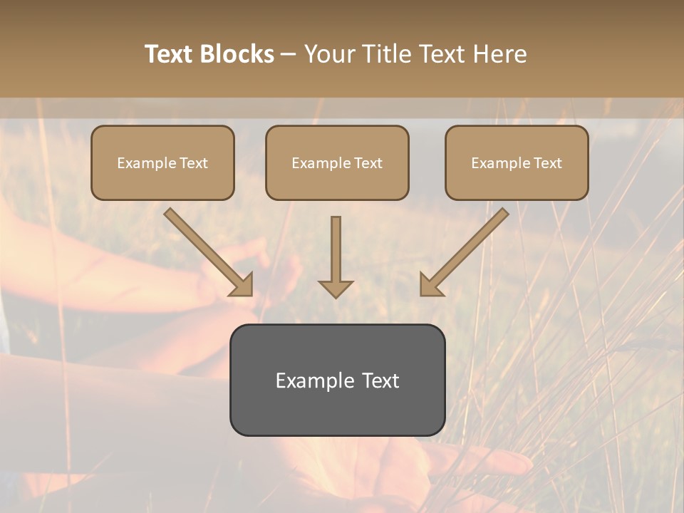 Grass Concentration Serene PowerPoint Template