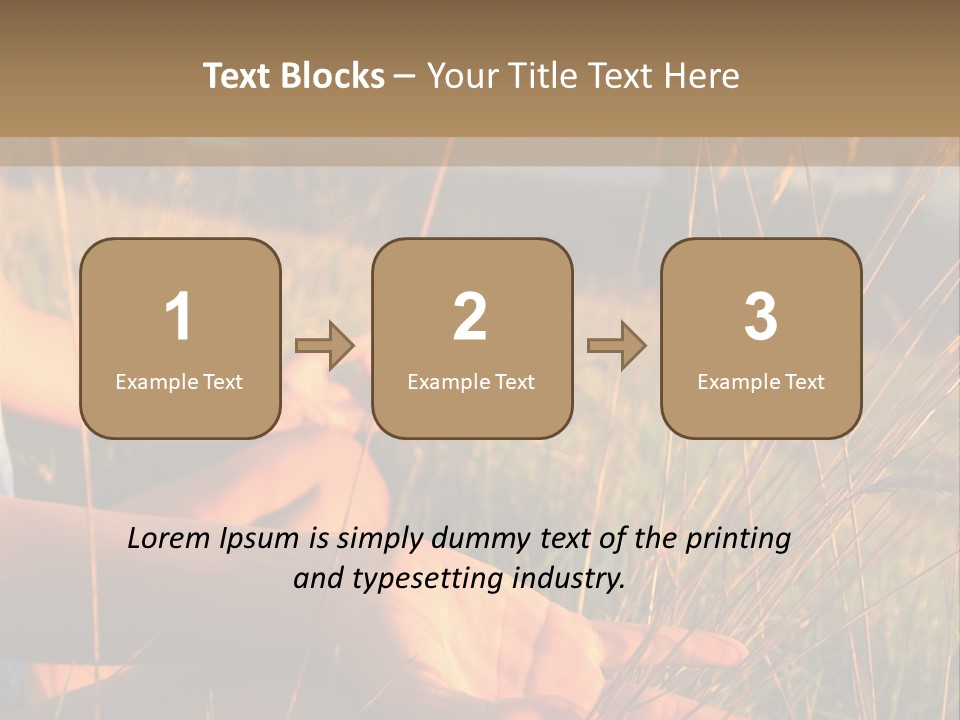 Grass Concentration Serene PowerPoint Template