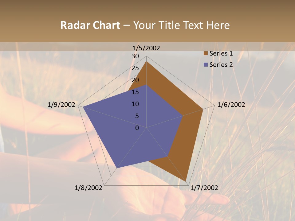 Grass Concentration Serene PowerPoint Template