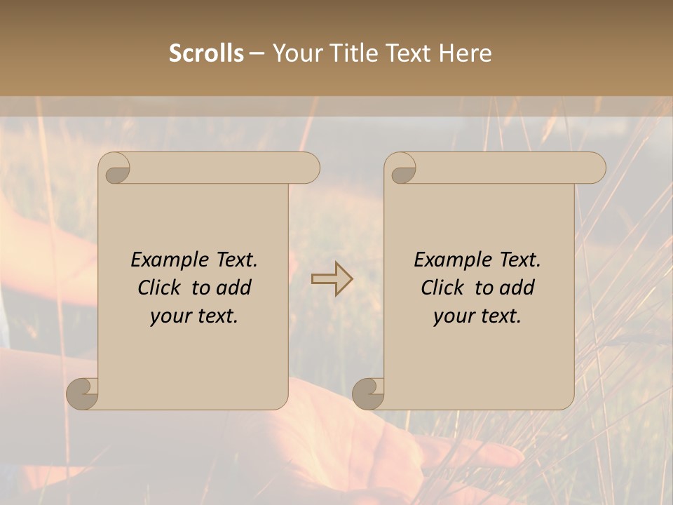 Grass Concentration Serene PowerPoint Template