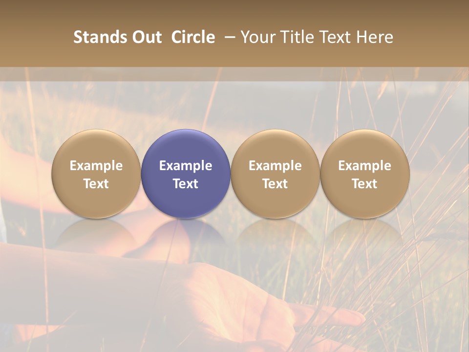 Grass Concentration Serene PowerPoint Template