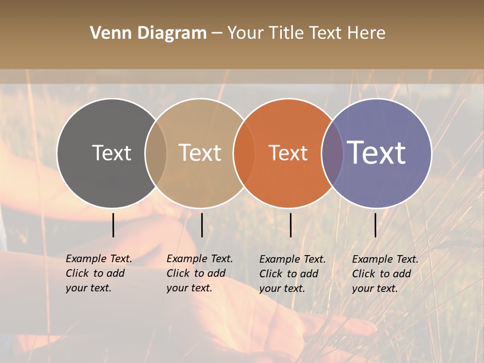 Grass Concentration Serene PowerPoint Template