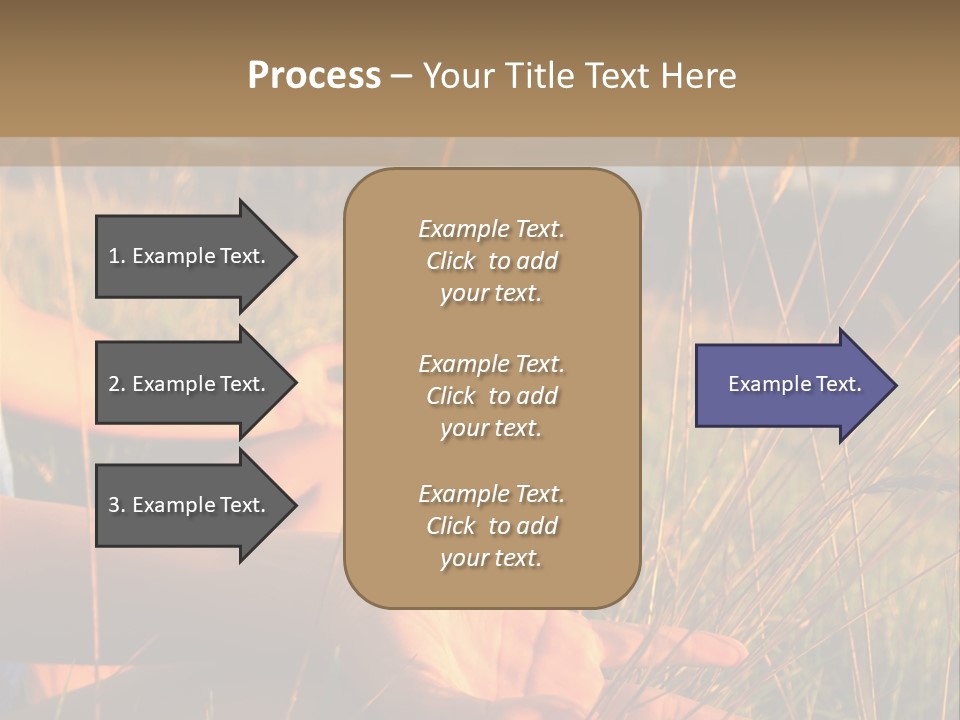 Grass Concentration Serene PowerPoint Template