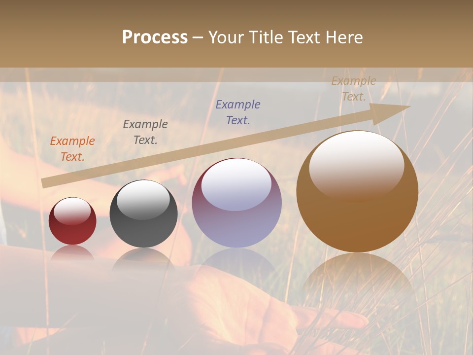 Grass Concentration Serene PowerPoint Template