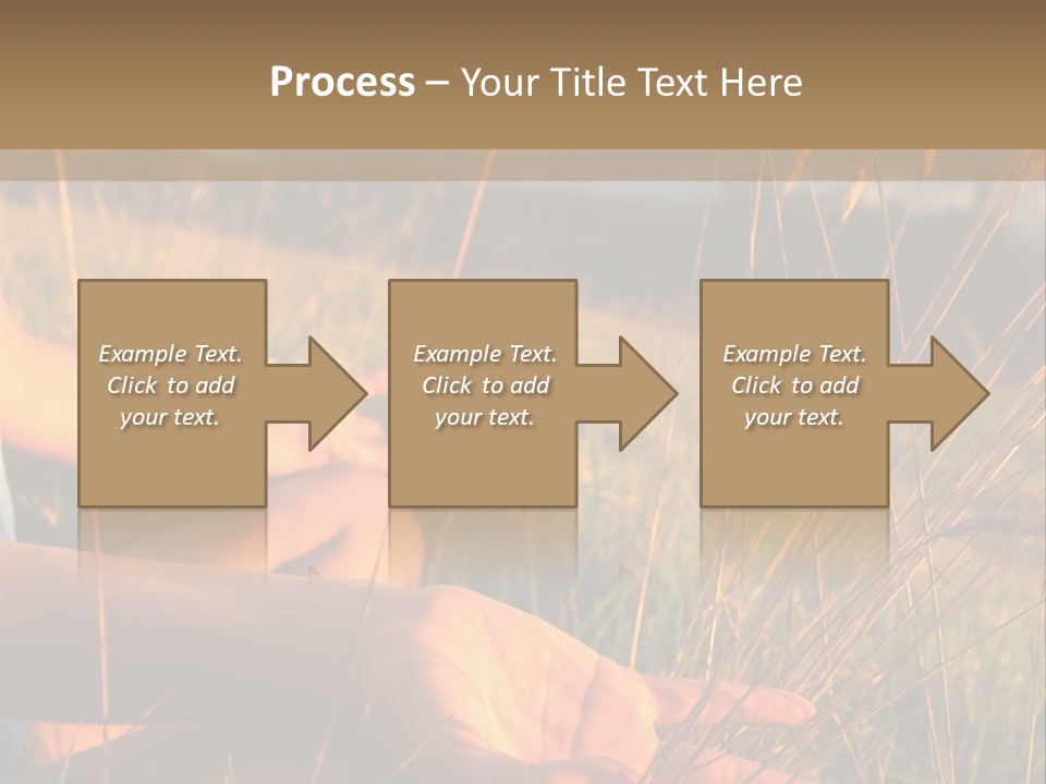 Grass Concentration Serene PowerPoint Template