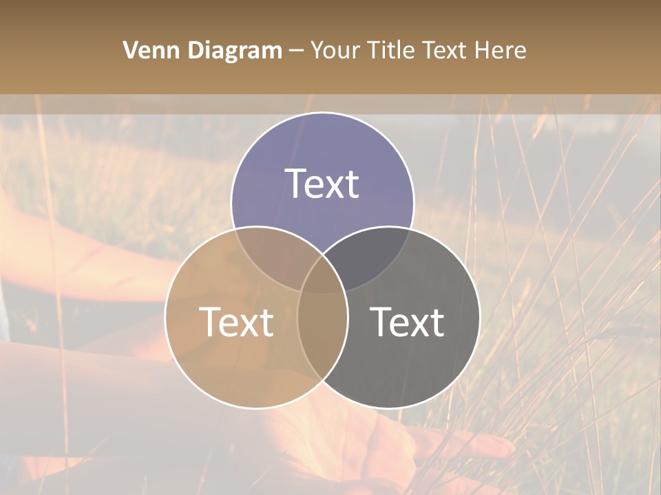 Grass Concentration Serene PowerPoint Template