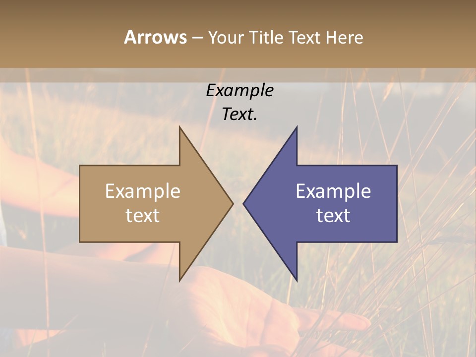 Grass Concentration Serene PowerPoint Template