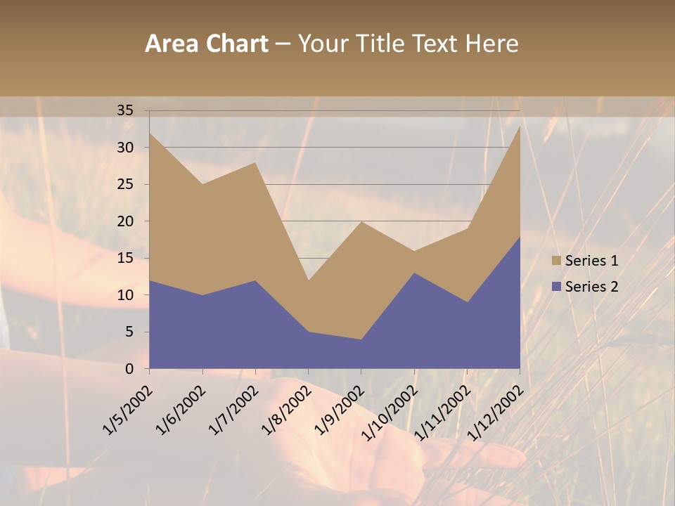 Grass Concentration Serene PowerPoint Template