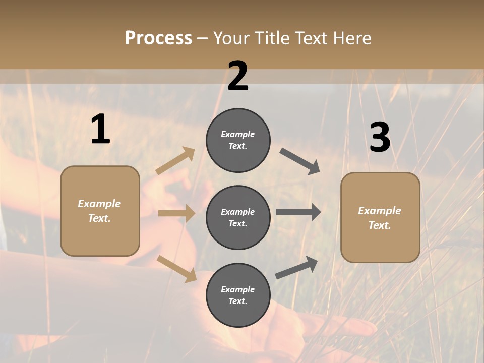 Grass Concentration Serene PowerPoint Template