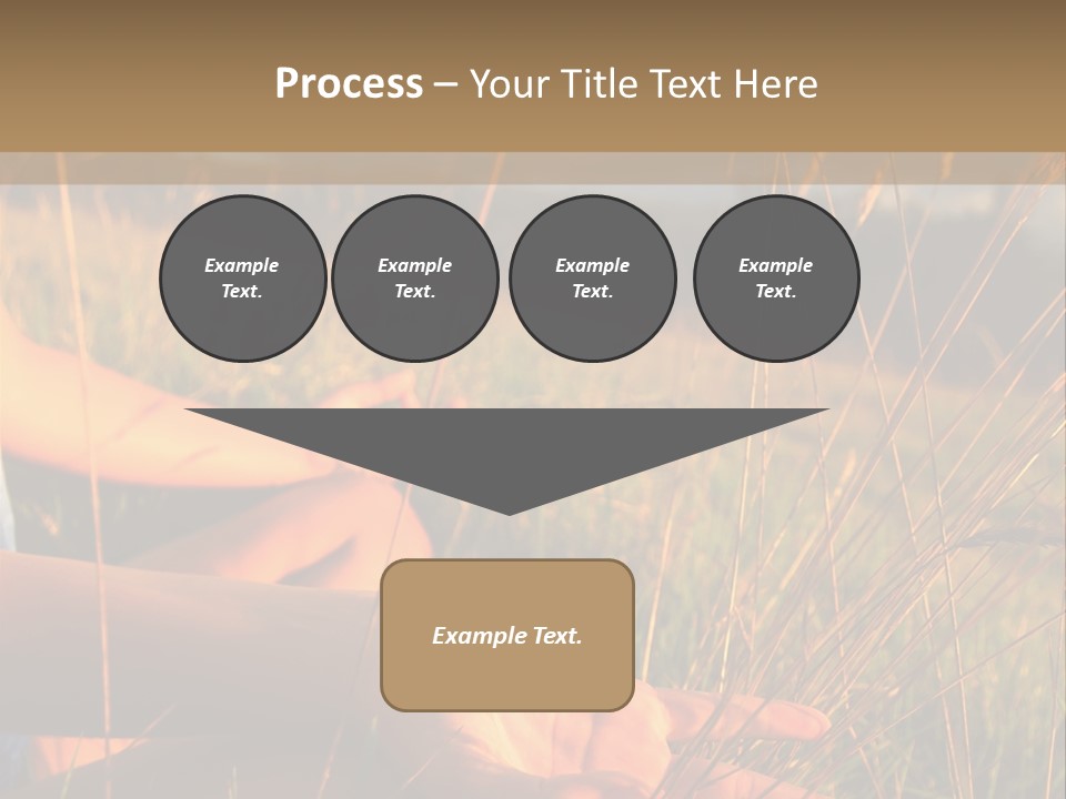 Grass Concentration Serene PowerPoint Template