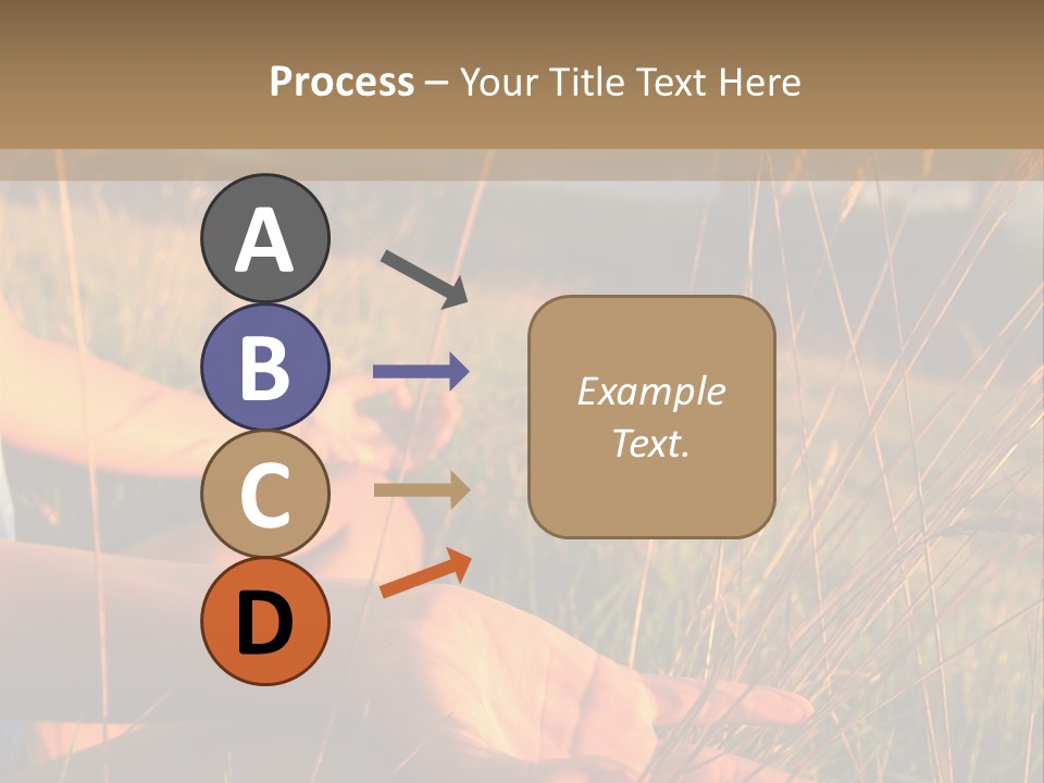 Grass Concentration Serene PowerPoint Template