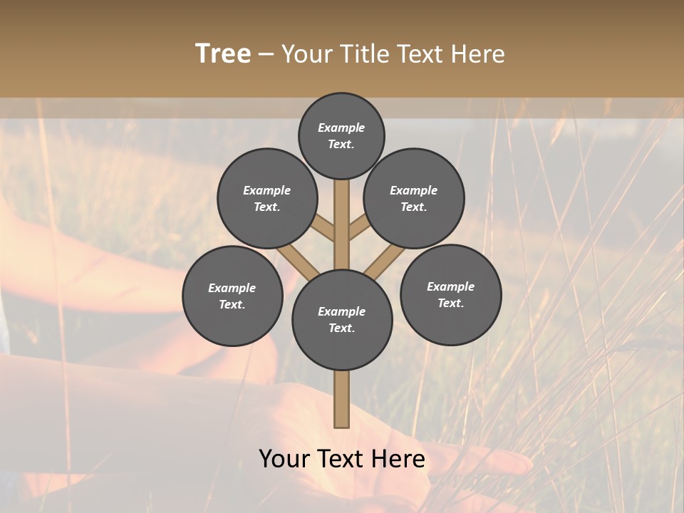Grass Concentration Serene PowerPoint Template