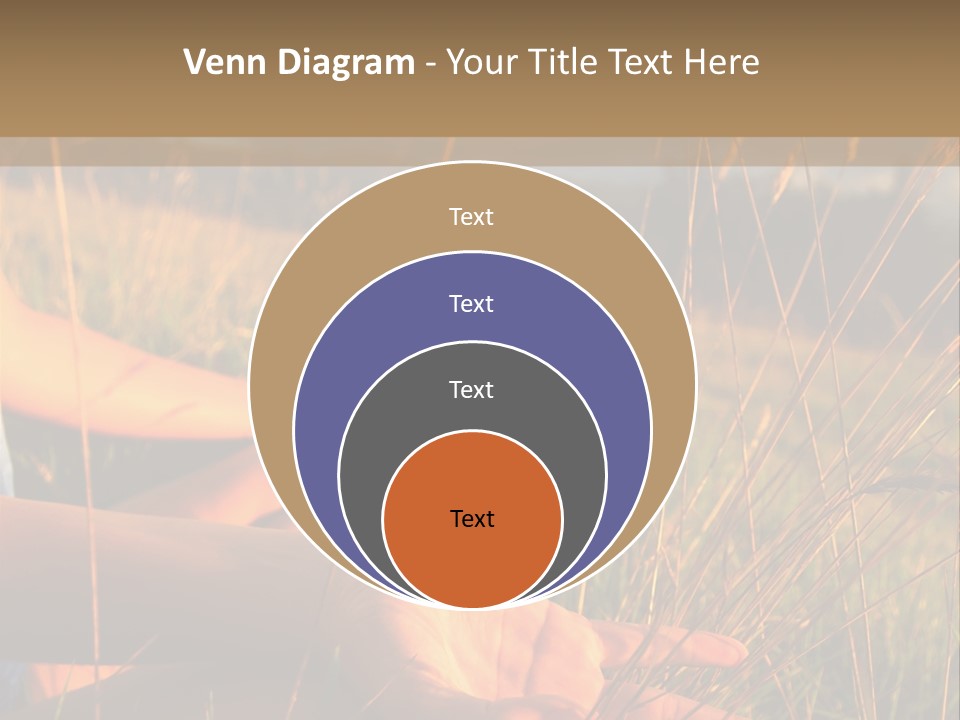 Grass Concentration Serene PowerPoint Template