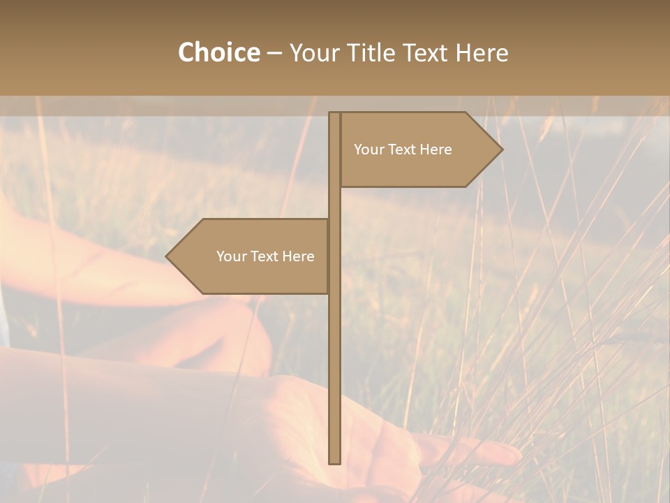 Grass Concentration Serene PowerPoint Template