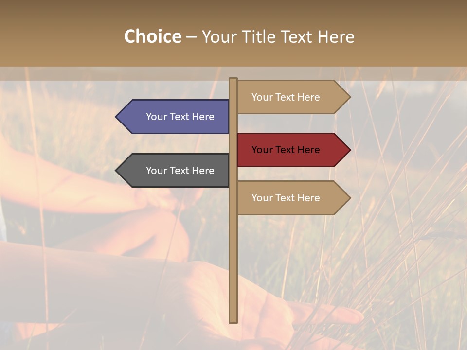 Grass Concentration Serene PowerPoint Template