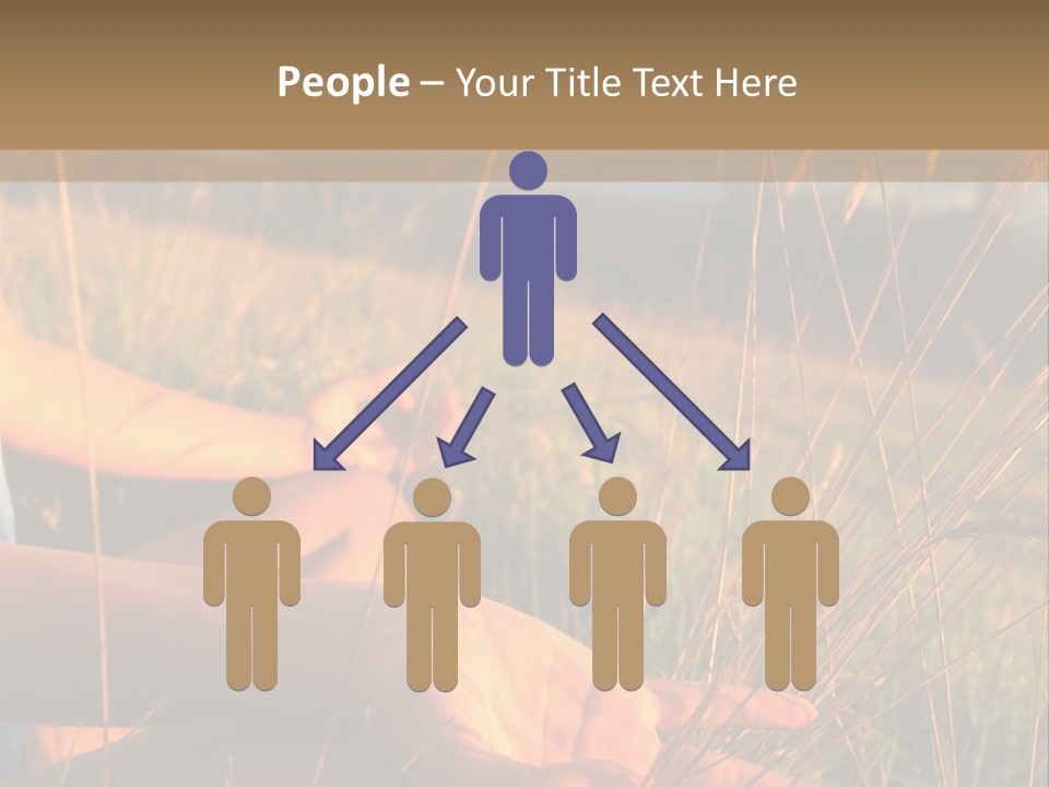 Grass Concentration Serene PowerPoint Template