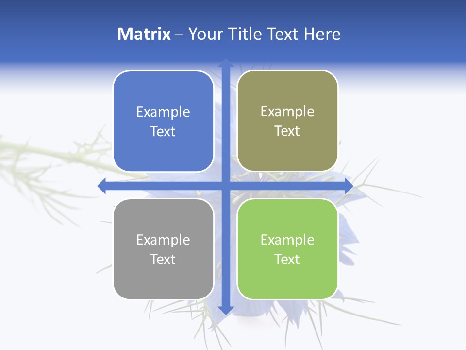 Caraway Flora Spice PowerPoint Template
