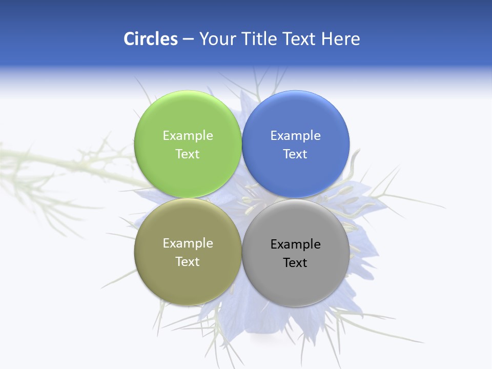 Caraway Flora Spice PowerPoint Template