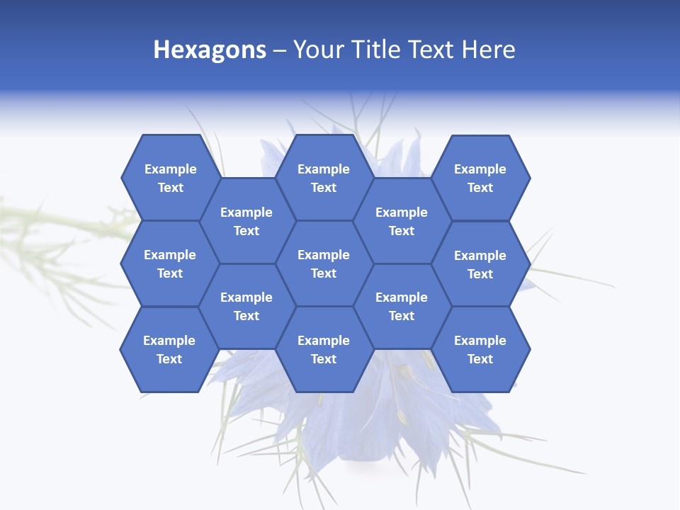 Caraway Flora Spice PowerPoint Template