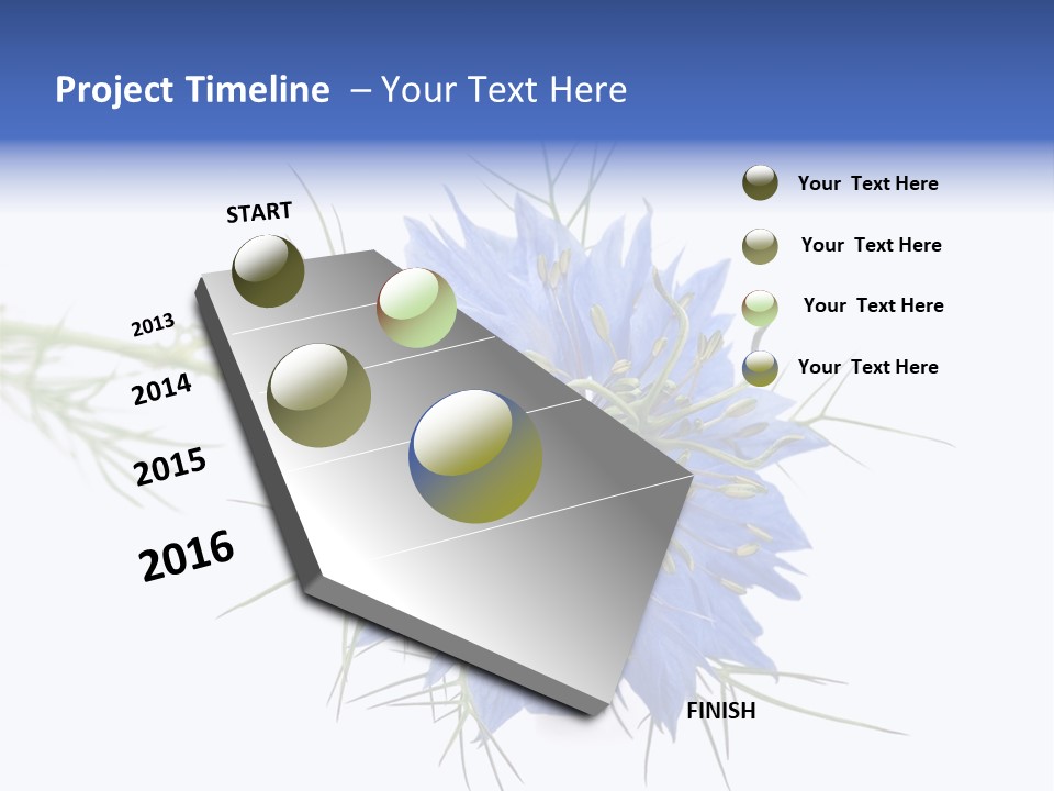 Caraway Flora Spice PowerPoint Template