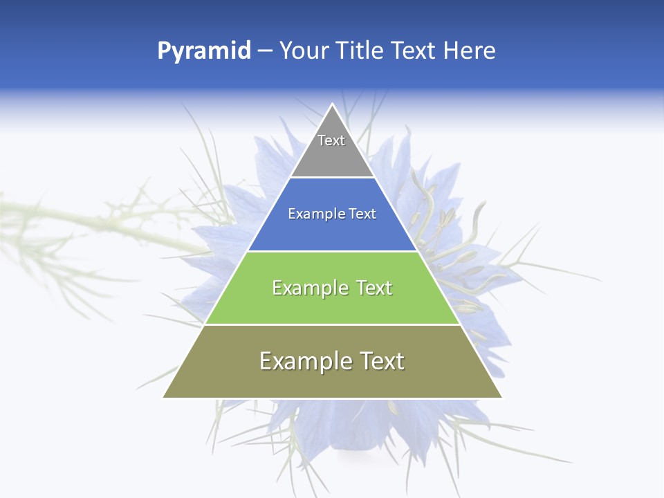 Caraway Flora Spice PowerPoint Template