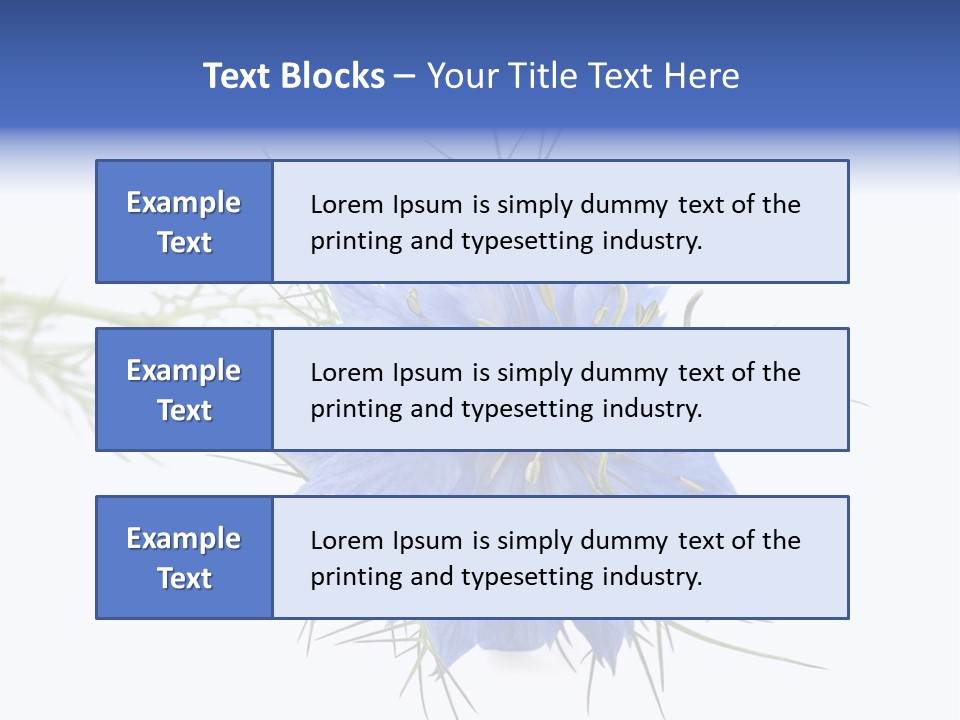 Caraway Flora Spice PowerPoint Template