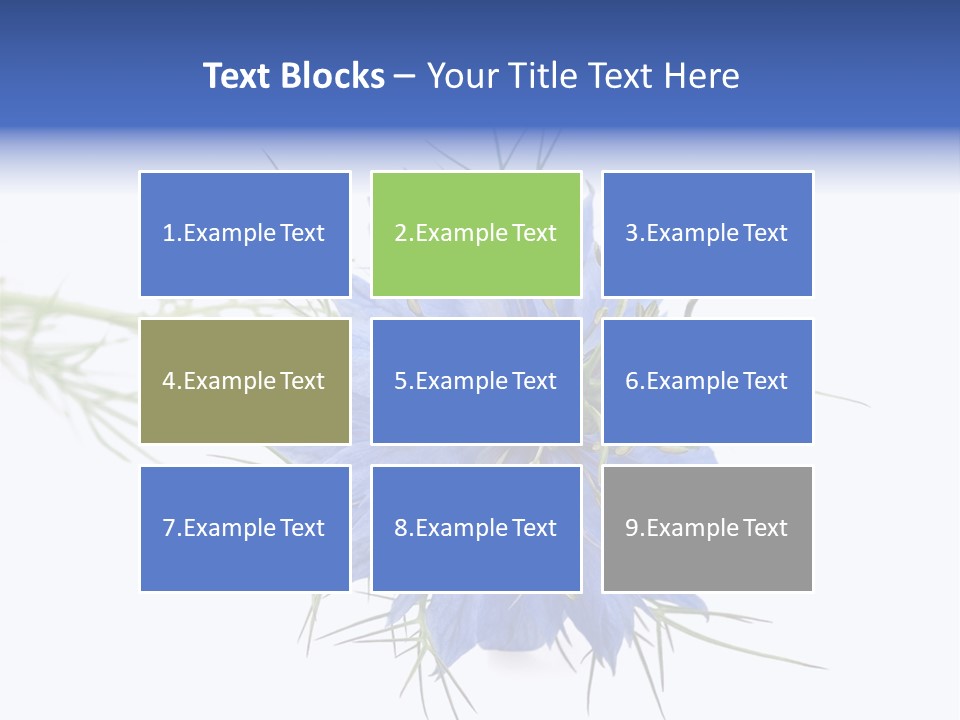 Caraway Flora Spice PowerPoint Template