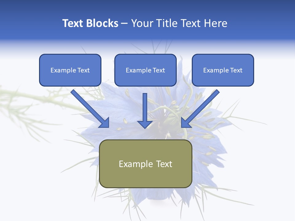 Caraway Flora Spice PowerPoint Template