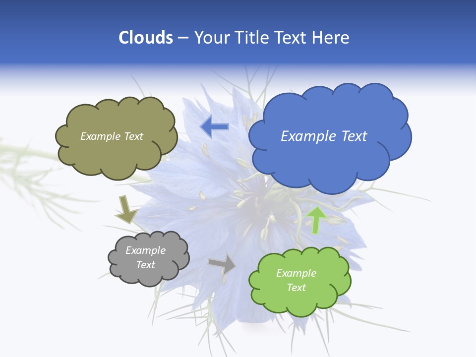 Caraway Flora Spice PowerPoint Template