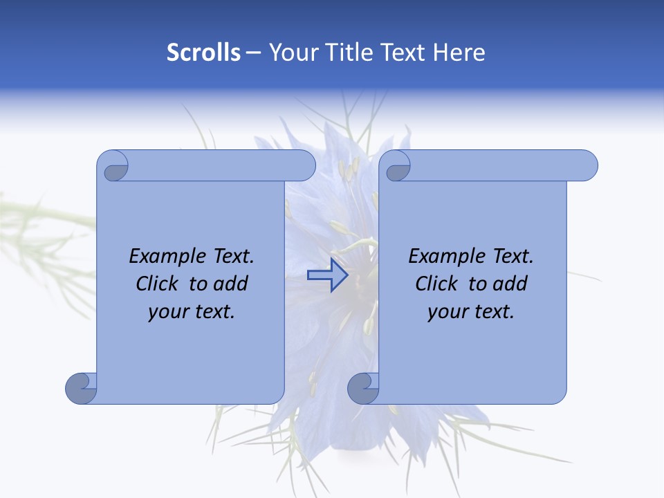 Caraway Flora Spice PowerPoint Template