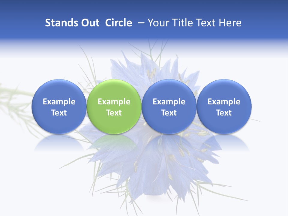 Caraway Flora Spice PowerPoint Template