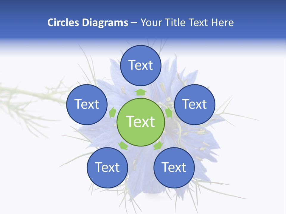 Caraway Flora Spice PowerPoint Template